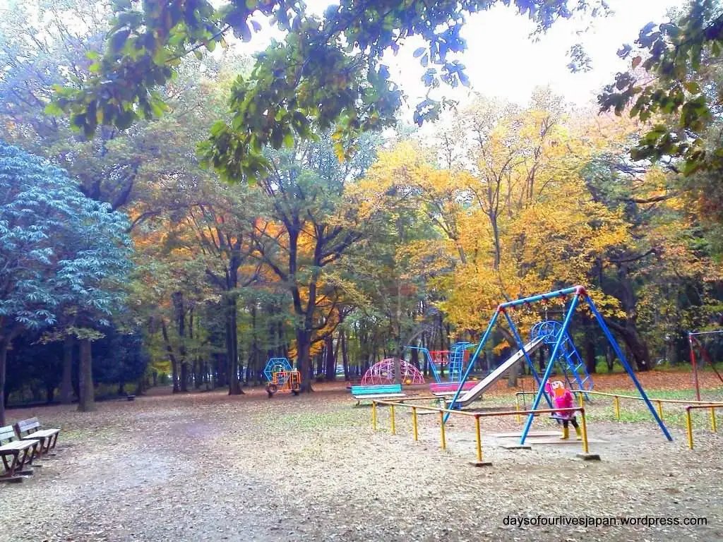 🏞️ 사야마 공원 (사야마 코엔) 이미지 5